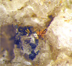 Eifel Mineralien Bellerberg Fluorapatit