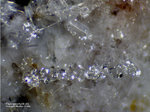 Eifel Mineralien Bellerberg Fluorapophyllit-(Na)