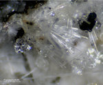 Eifel Mineralien Bellerberg Fluorapophyllit-(Na)
