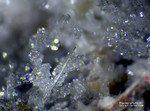 Eifel Mineralien Bellerberg Fluorapophyllit-(Na)