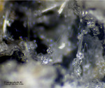 Eifel Mineralien Bellerberg Fluorapophyllit-(Na)