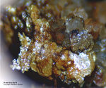 Mineralien Griechenland Lavrion Hilarion Arseniosiderit