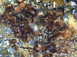 Mineralien Griechenland Lavrion Hilarion Arseniosiderit