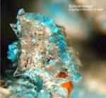Griechenland Mineralien Lavrion Jean Baptiste Schulenbergit