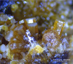 Griechenland Lavrion Mineralien Plaka Pyromorphit