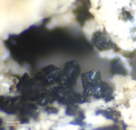 Eifel Mineralien Wingertsberg Almandin