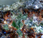 Eifel Mineralien Wingertsberg Forsterit