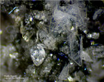 Eifel Mineralien Wingertsberg Hoch-Quarz Hochquarz