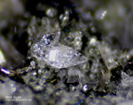Eifel Mineralien Wingertsberg Hoch-Quarz Hochquarz