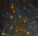 Eifel Mineralien Wingertsberg Jarosit