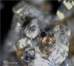 Eifel Mineralien Wingertsberg Leucit