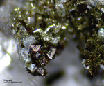 Eifel Mineralien Wingertsberg Magnetit