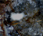 Eifel Mineralien Wingertsberg Mullit