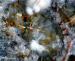 Eifel Mineralien Wingertsberg Mullit