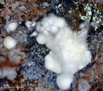 Eifel Mineralien Wingertsberg Mullit