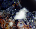 Eifel Mineralien Wingertsberg Mullit