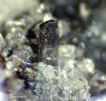 Eifel Mineralien Wingertsberg Sanidin