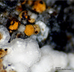 Eifel Mineralien Wingertsberg Siderit