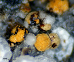 Eifel Mineralien Wingertsberg Siderit