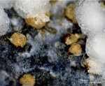 Eifel Mineralien Wingertsberg Siderit