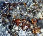 Eifel Mineralien Wingertsberg Siderit