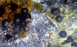 Eifel Mineralien Wingertsberg Siderit