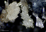 Eifel Mineralien Wingertsberg Topas