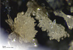 Eifel Mineralien Wingertsberg Topas