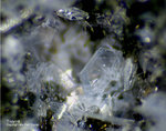 Eifel Mineralien Wingertsberg Tridymit