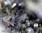 Eifel Mineralien Wingertsberg Tridymit