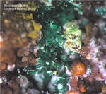 Odenwald Mineralien Reichenbach Borstein Reichenbachit