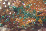 Odenwald Mineralien Reichenbach Borstein Reichenbachit