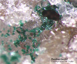 Odenwald Mineralien Reichenbach Borstein Reichenbachit