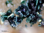 Odenwald Mineralien Reichenbach Borstein Reichenbachit