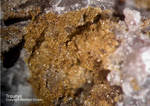 Odenwald Mineralien Reichenbach Borstein Tripuhyit