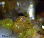 Odenwald Mineralien Reichenbach Borstein Wulfenit