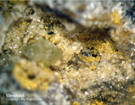 Odenwald Mineralien Gadernheim Mimetesit