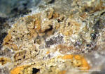 Odenwald Mineralien Gadernheim Mimetesit