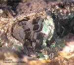 Odenwald Mineralien Gadernheim Covellin