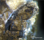 Odenwald Mineralien Gadernheim Covellin