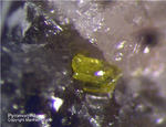 Odenwald Mineralien Gadernheim Pyromorphit