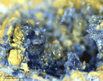 Odenwald Mineralien Gadernheim Pyromorphit