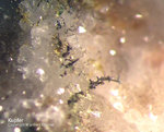 Odenwald Mineralien Reichenbach 16.1 Kupfer