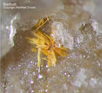 Odenwald Mineralien Reichenbach 14.0 Bismutit