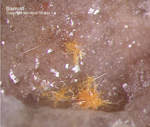 Odenwald Mineralien Reichenbach 14.0 Bismutit