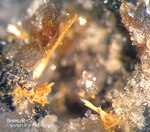 Odenwald Mineralien Reichenbach 14.0 Bismutit