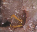 Odenwald Mineralien Reichenbach 14.0 Bismutit