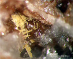 Odenwald Mineralien Reichenbach 14.0 Bismutit