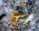 Odenwald Mineralien Reichenbach 14.0 Bismutit