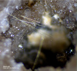 Odenwald Mineralien Reichenbach 14.0 Bismutit